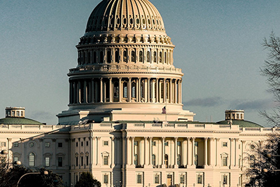 U.S. Capitol 