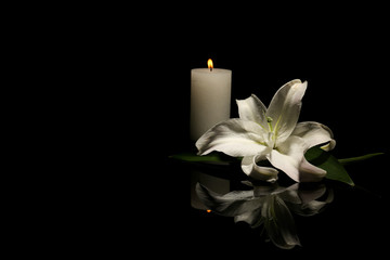 In-lieu-of-flowers-picture