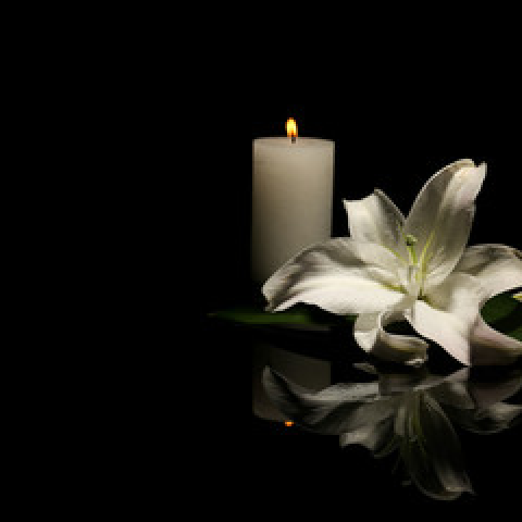 Flower-and-candle-black-background