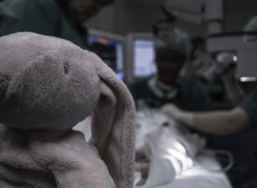 A child's stuffed bunny sits in a surgery room