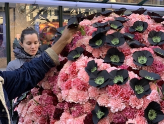 A hand removing a poppy flower from the Hope Stems display