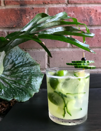 mocktail-cucumber-cup